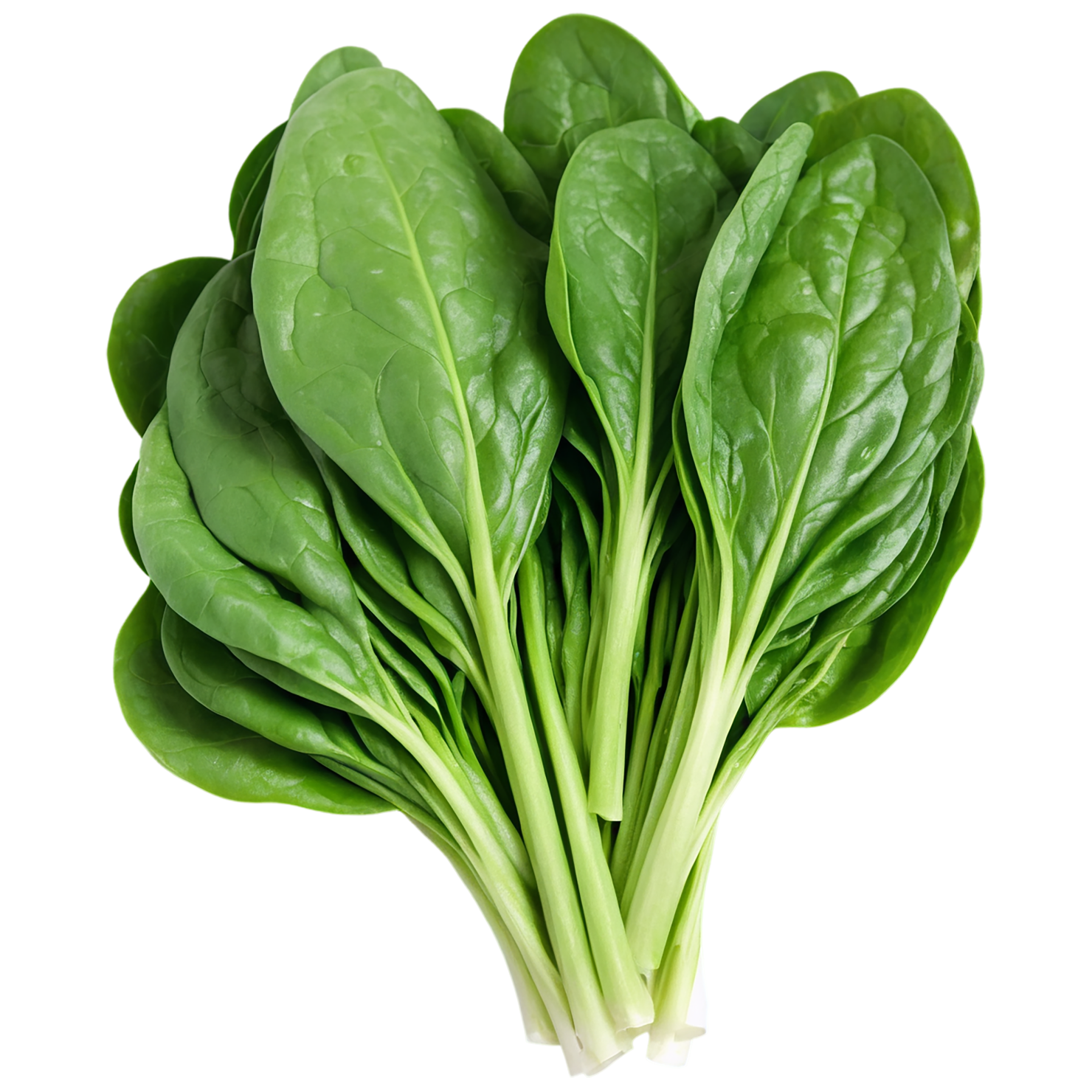 Spinach vegetables isolated on transparent background #12099