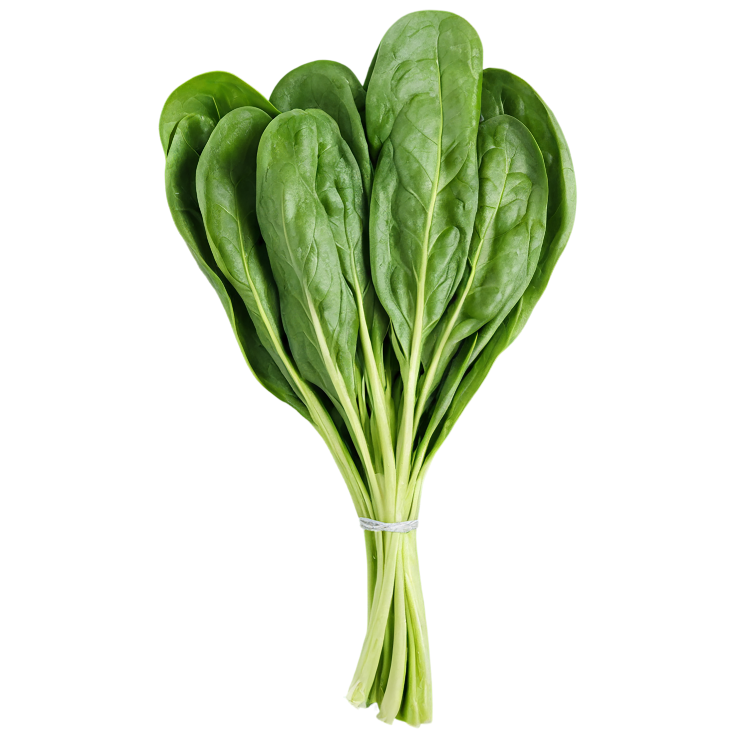 Spinach vegetables isolated on transparent background #12101