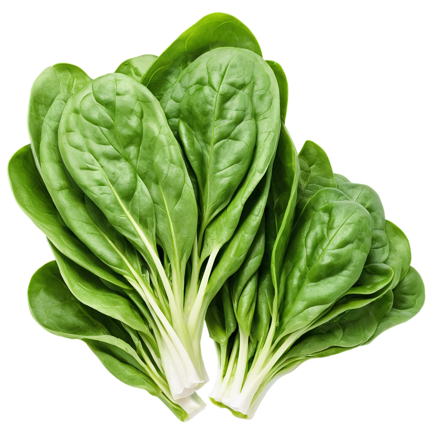 Spinach vegetables isolated on transparent background #12124