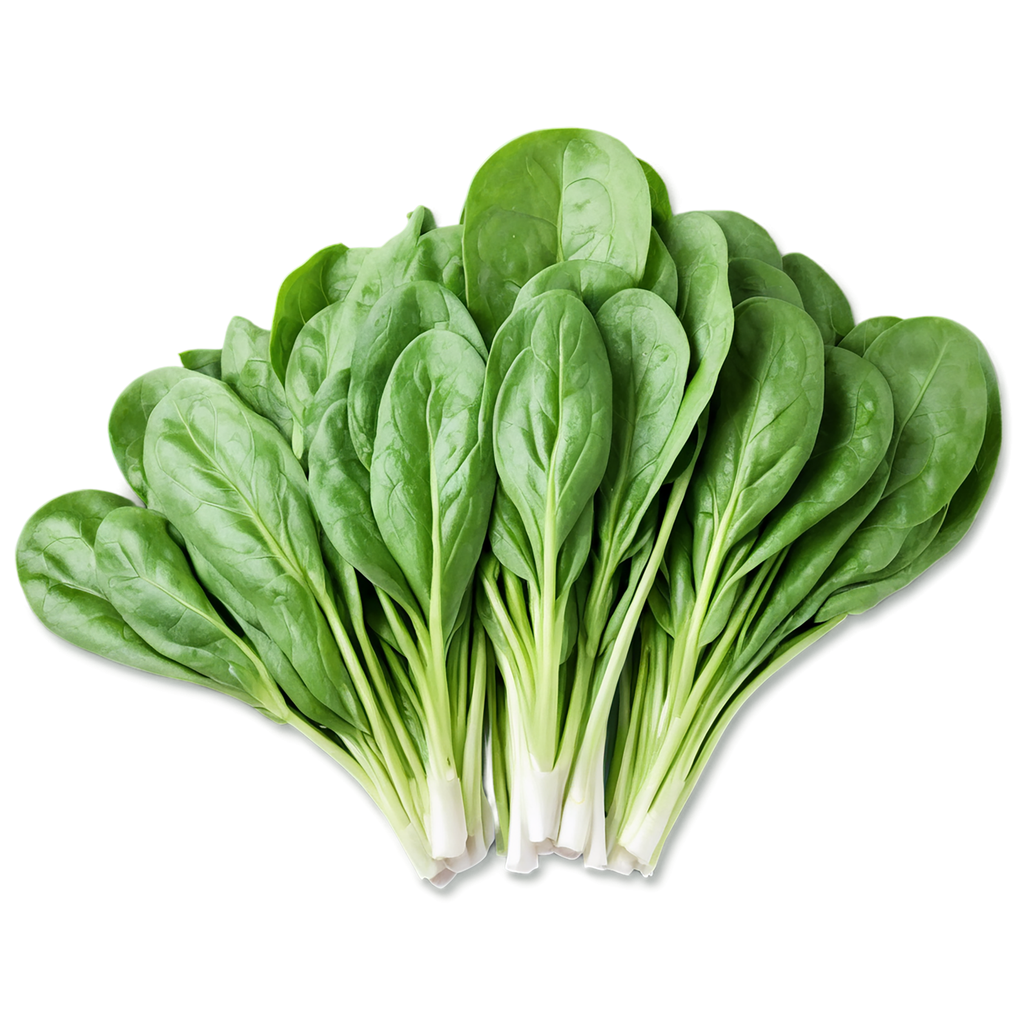 Spinach vegetables isolated on transparent background #12144