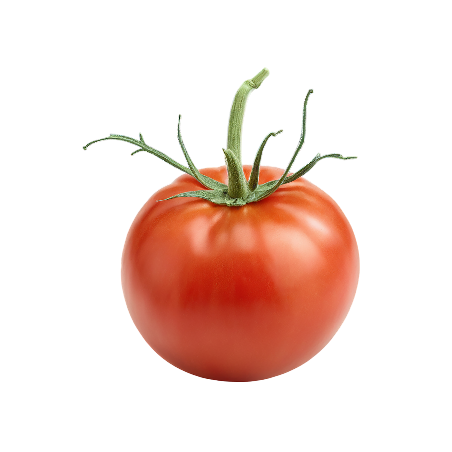 Tomato vegetables isolated on transparent background #12161