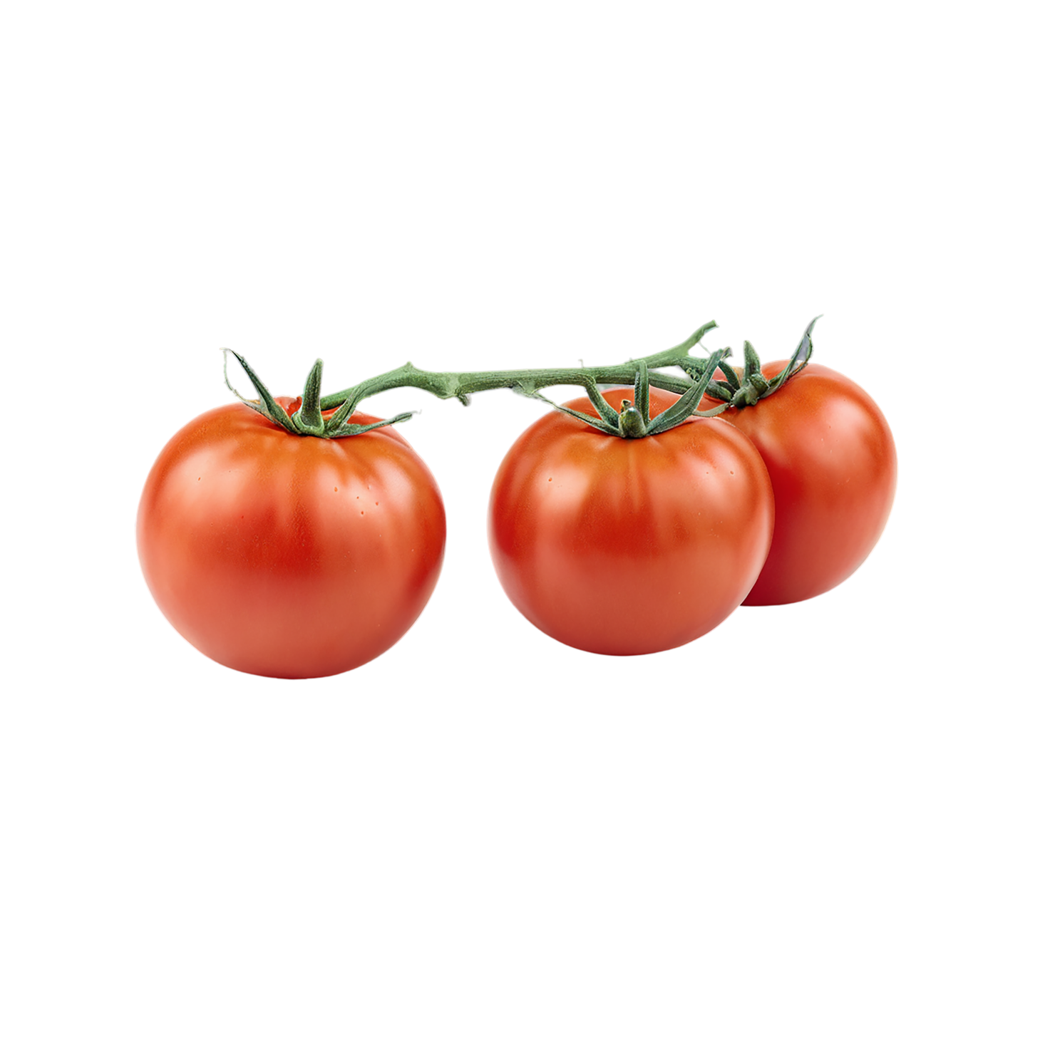 Tomato vegetables isolated on transparent background #12163