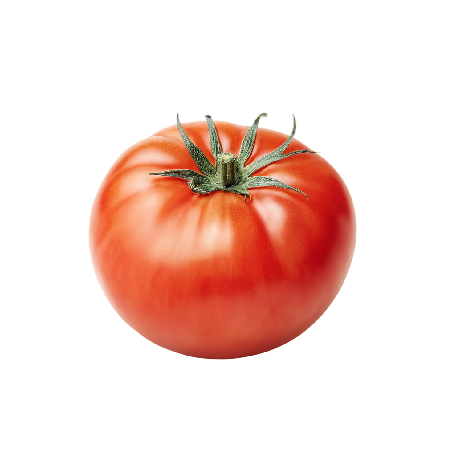 Tomato vegetables isolated on transparent background #12167