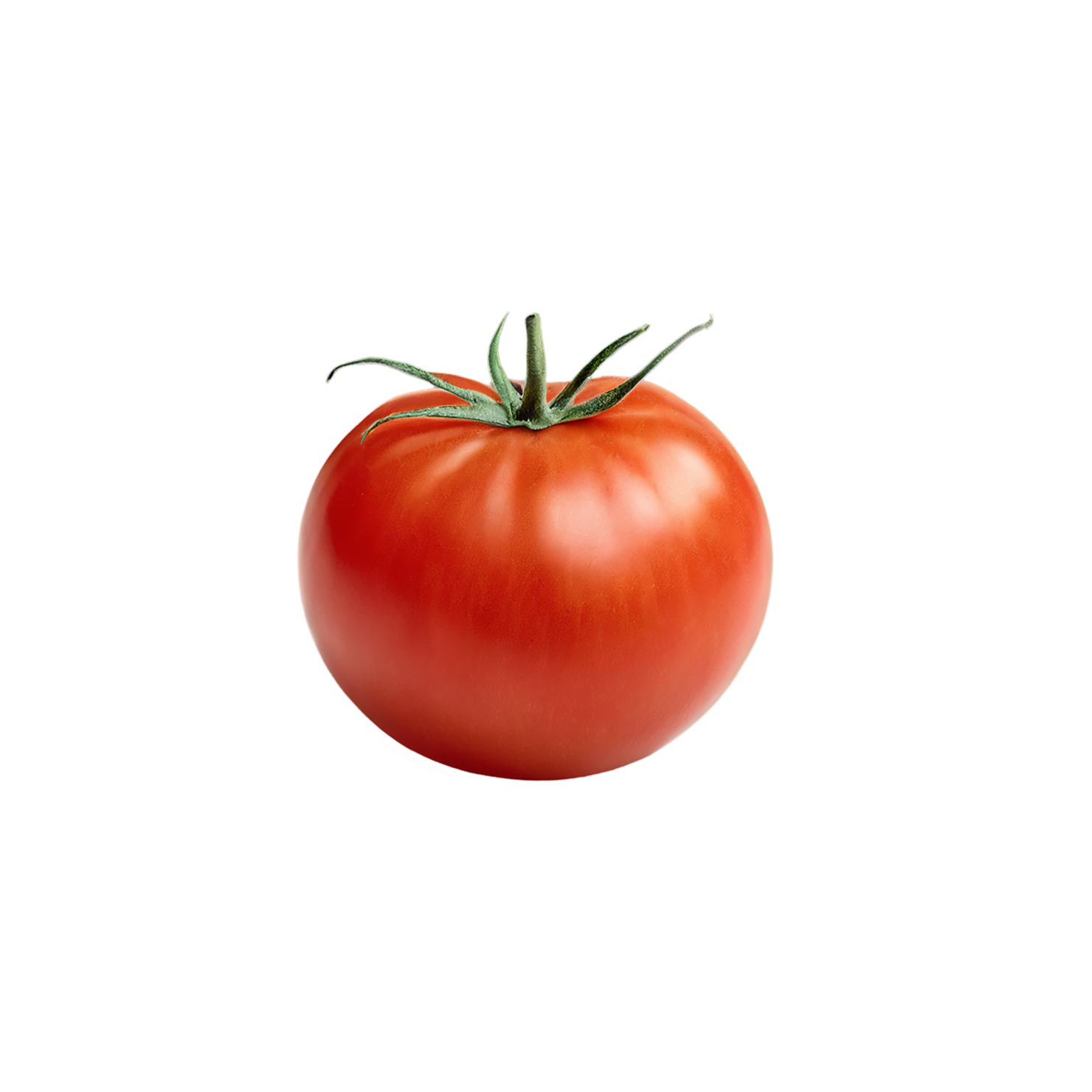 Tomato vegetables isolated on transparent background #12179