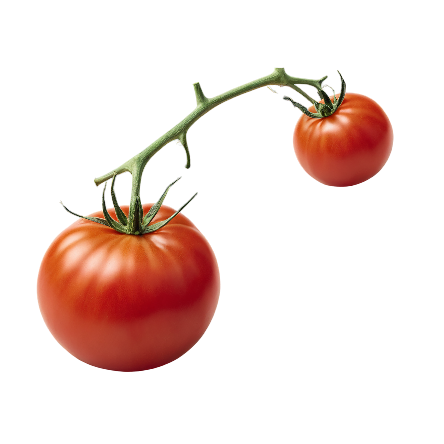 Tomato vegetables isolated on transparent background #12181