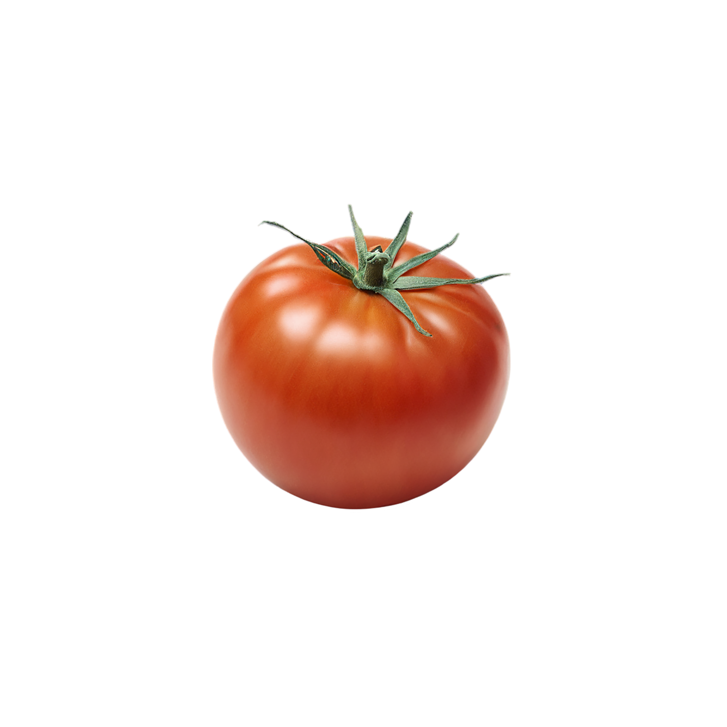 Tomato vegetables isolated on transparent background #12202