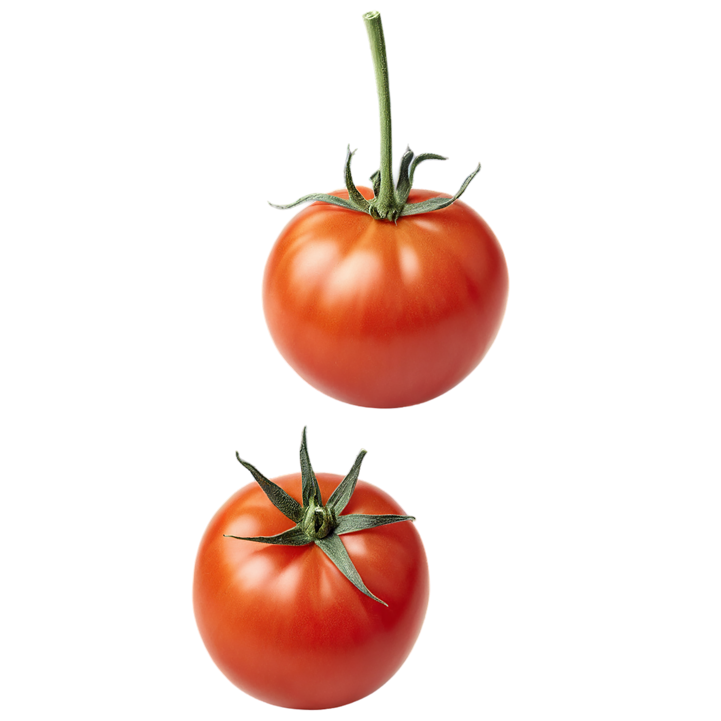 Tomato vegetables isolated on transparent background #12204