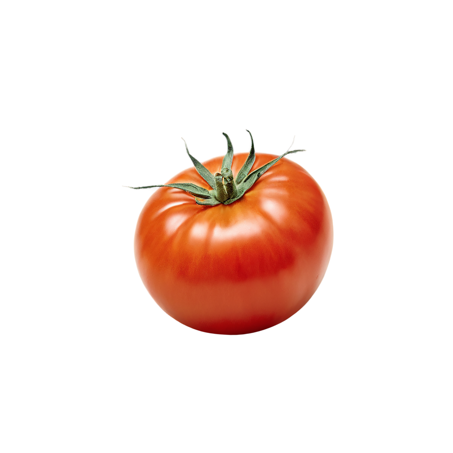 Tomato vegetables isolated on transparent background #12206