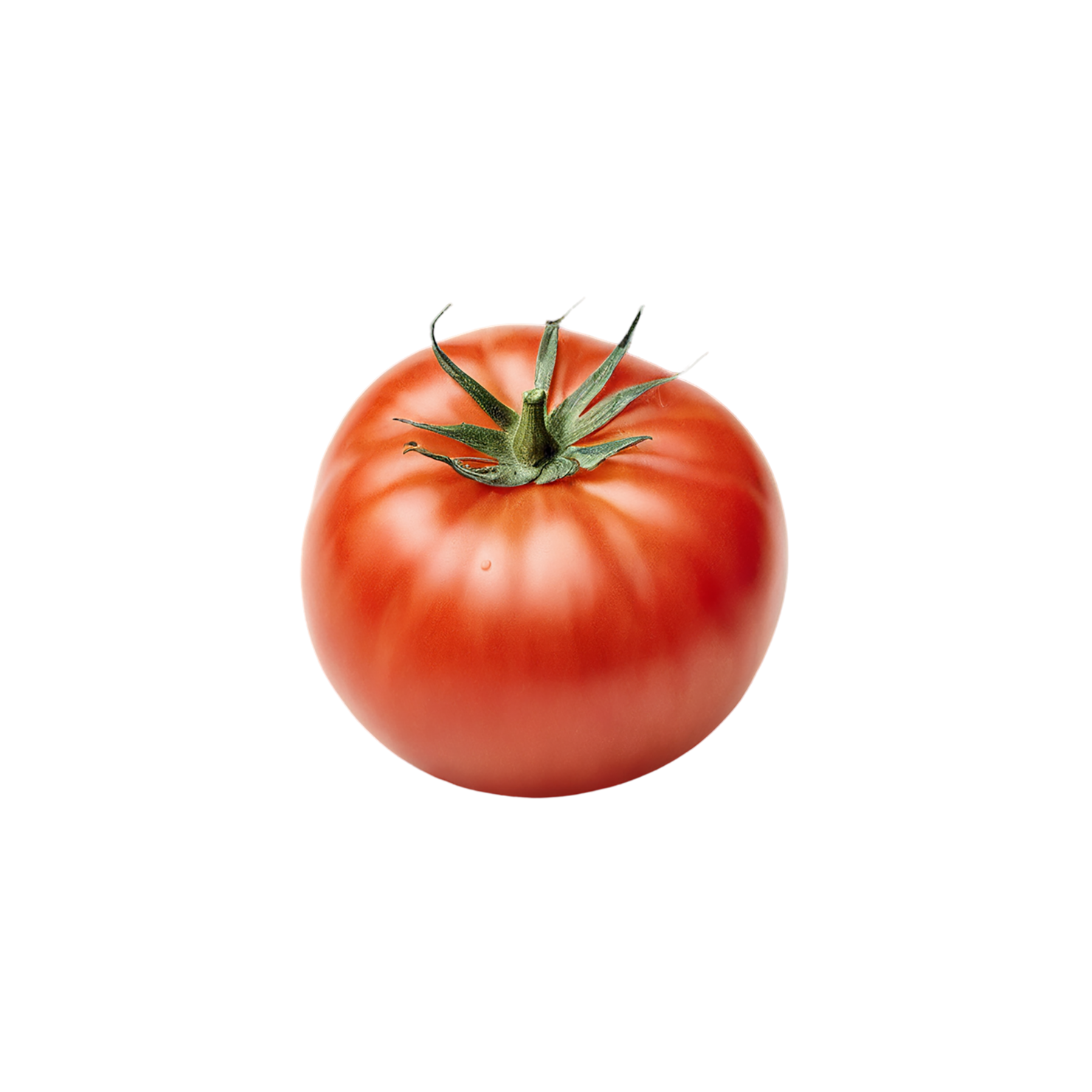 Tomato vegetables isolated on transparent background #12214
