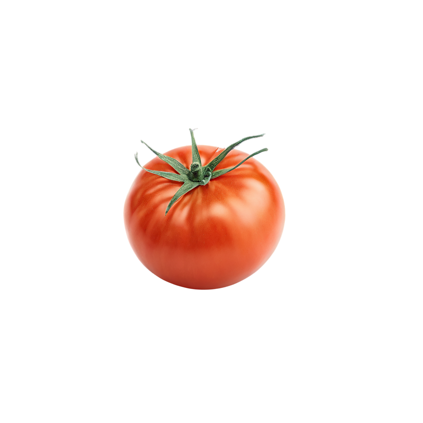 Tomato vegetables isolated on transparent background #12227