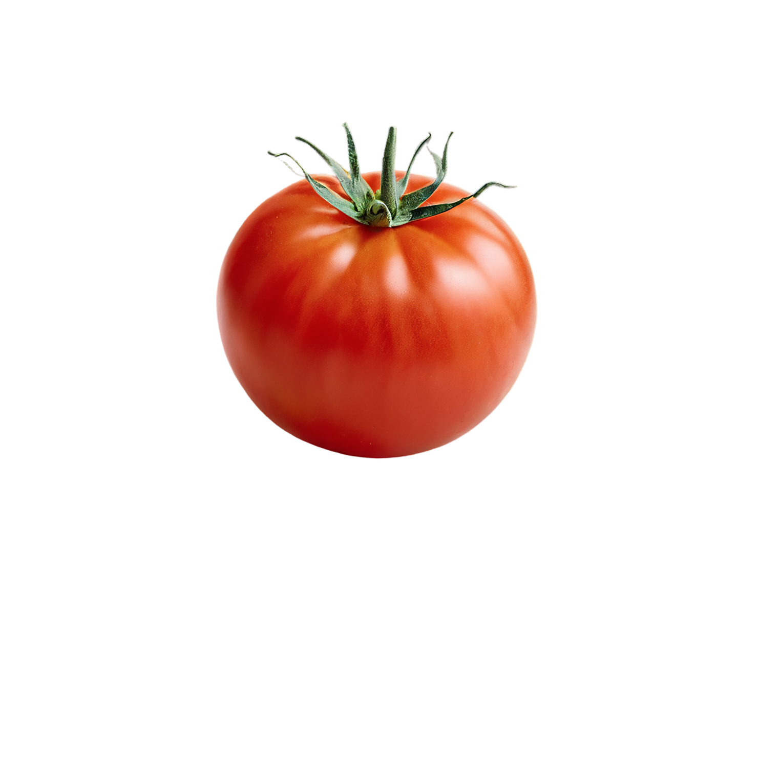 Tomato vegetables isolated on transparent background #12228