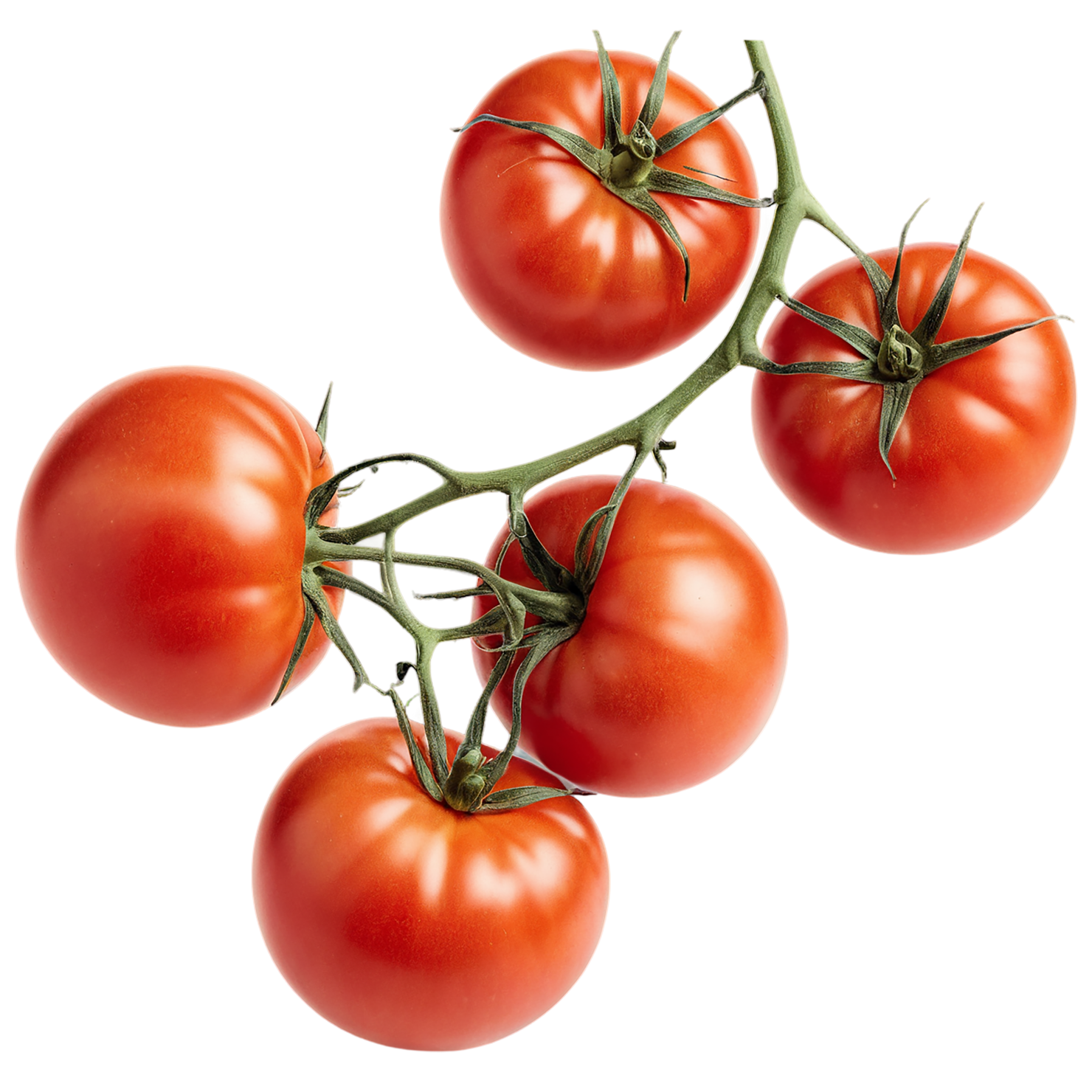 Tomato vegetables isolated on transparent background #12230