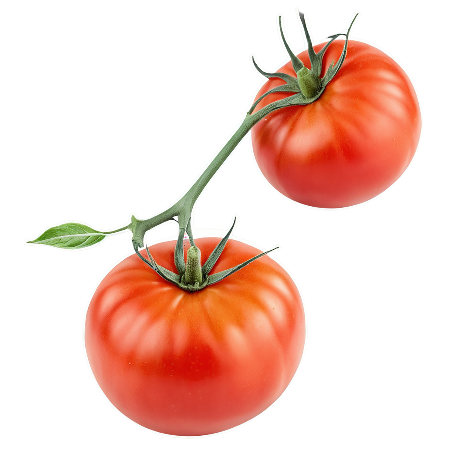 Tomato vegetables isolated on transparent background #12233