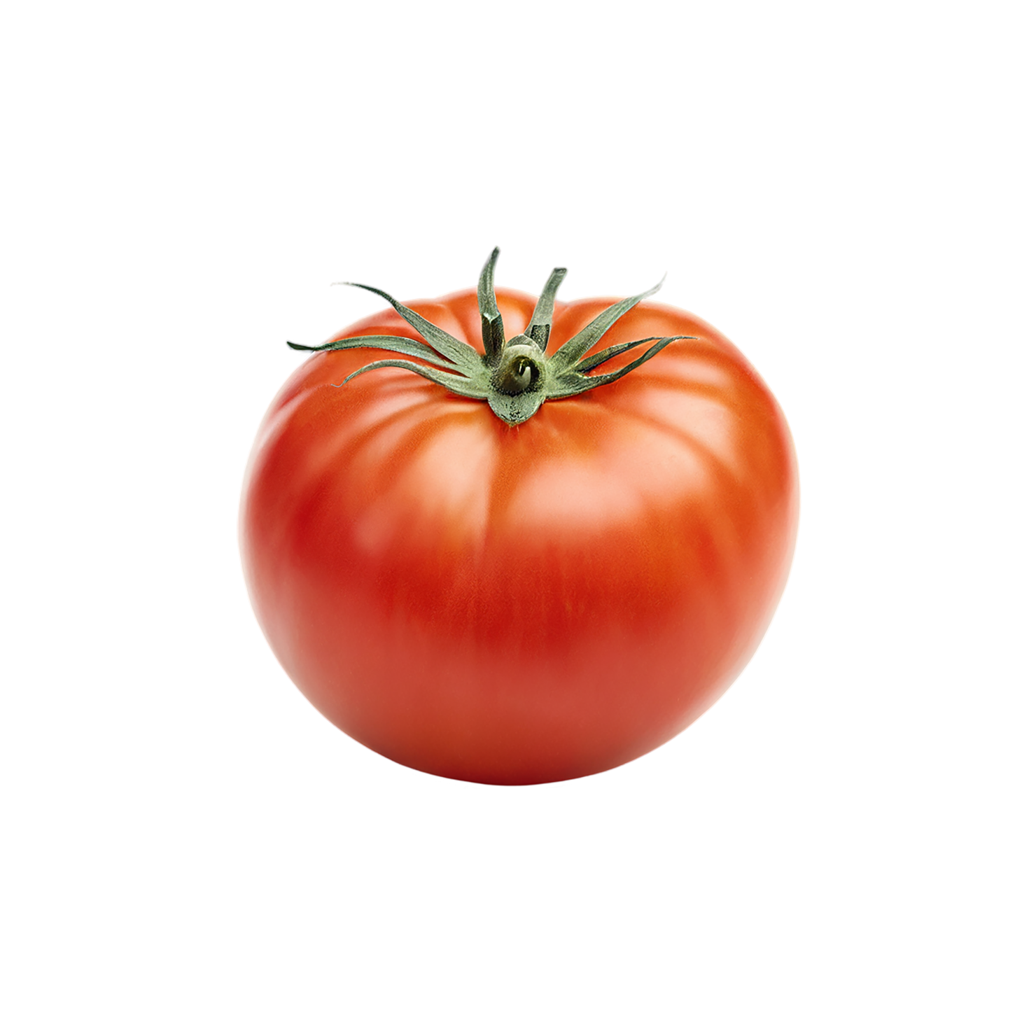 Tomato vegetables isolated on transparent background #12240