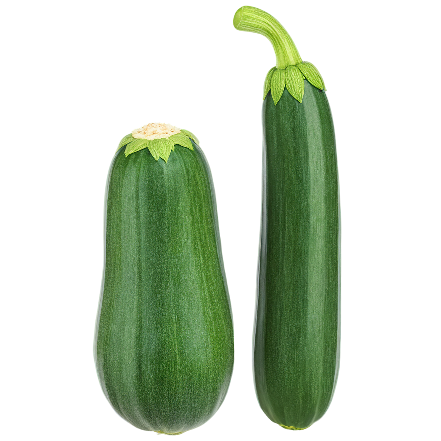 Zucchini vegetables isolated on transparent background #12241