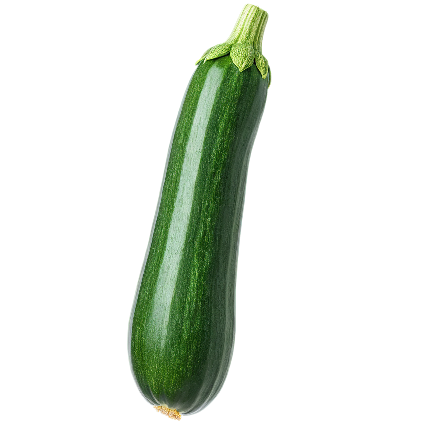 Zucchini vegetables isolated on transparent background #12243
