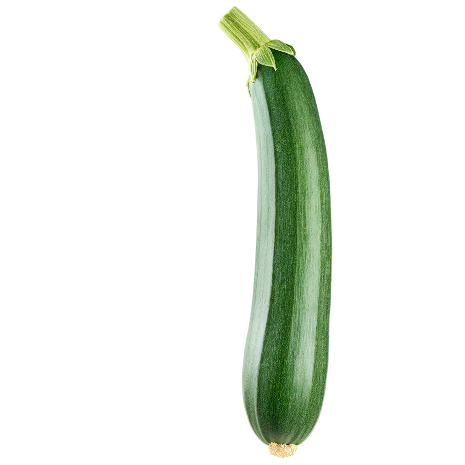 Zucchini vegetables isolated on transparent background #12245