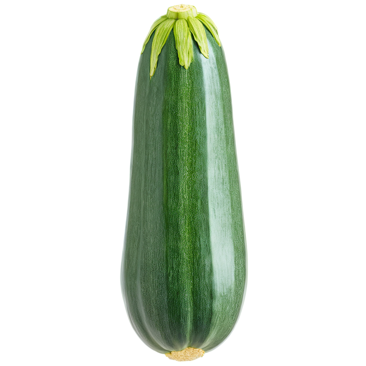 Zucchini vegetables isolated on transparent background #12246