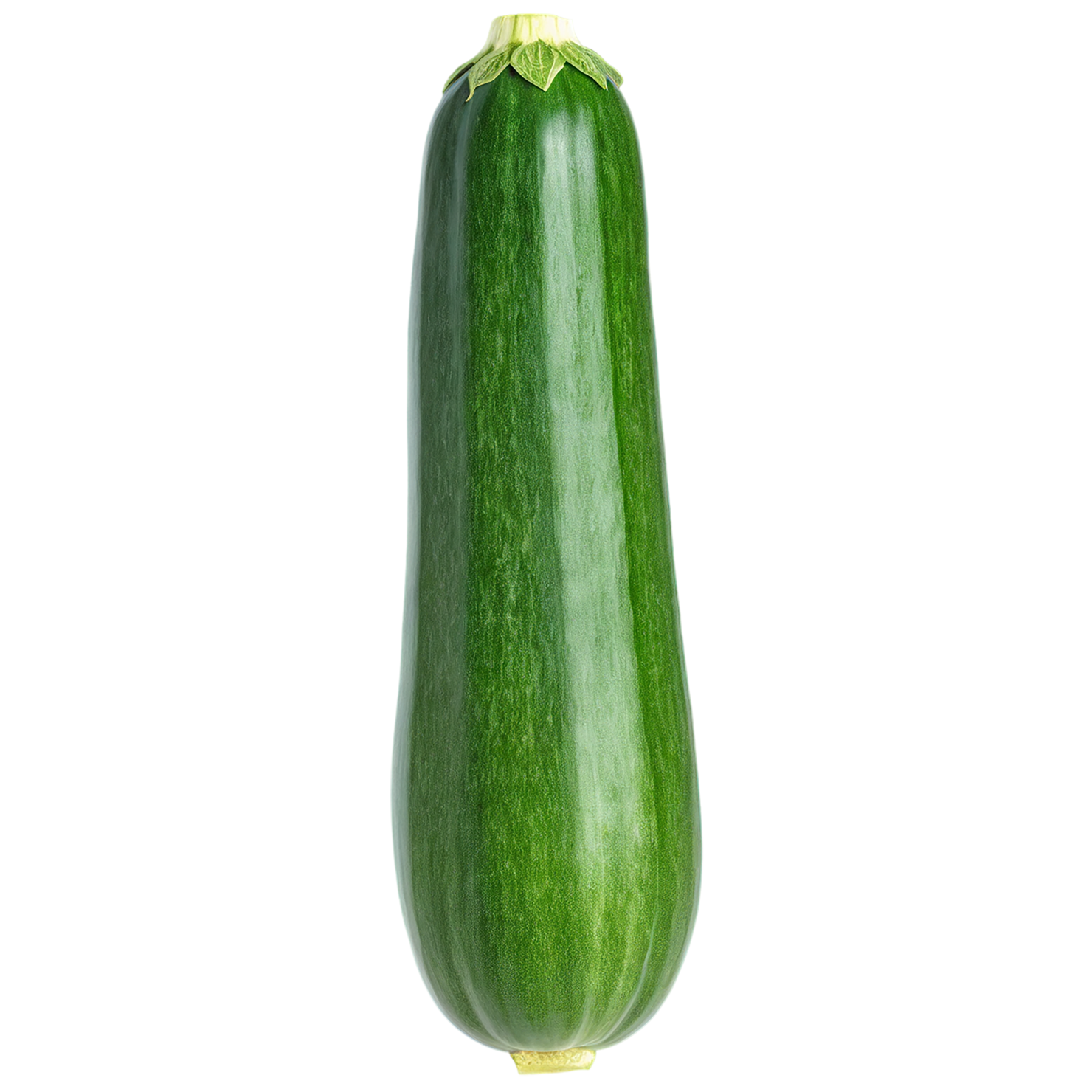 Zucchini vegetables isolated on transparent background #12248