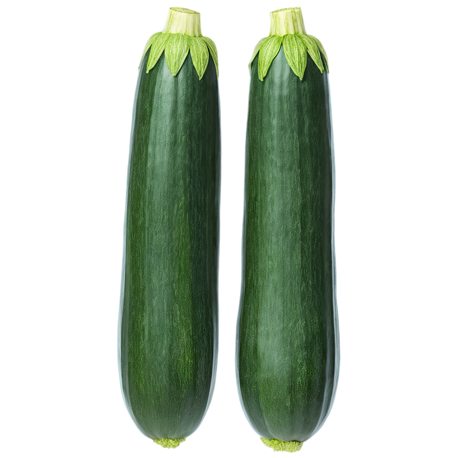 Zucchini vegetables isolated on transparent background #12252