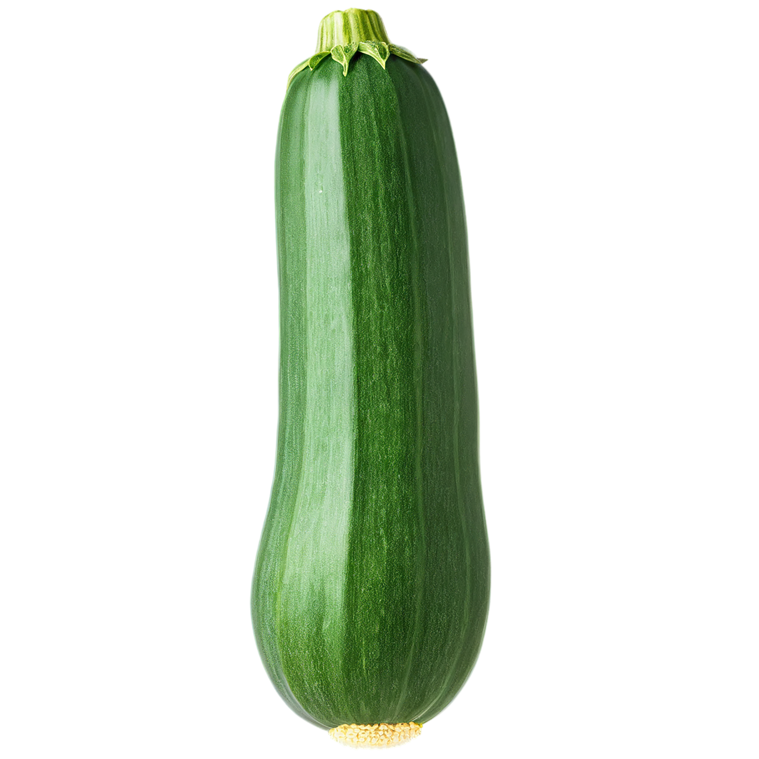 Zucchini vegetables isolated on transparent background #12255