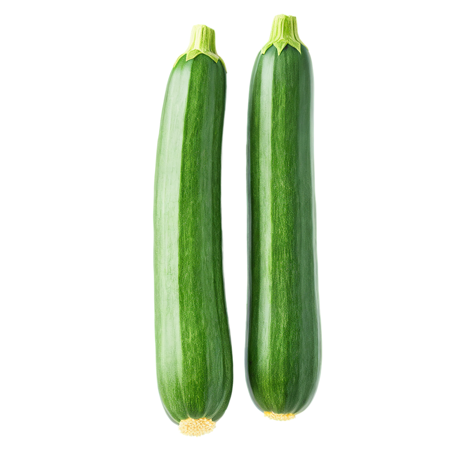 Zucchini vegetables isolated on transparent background #12258