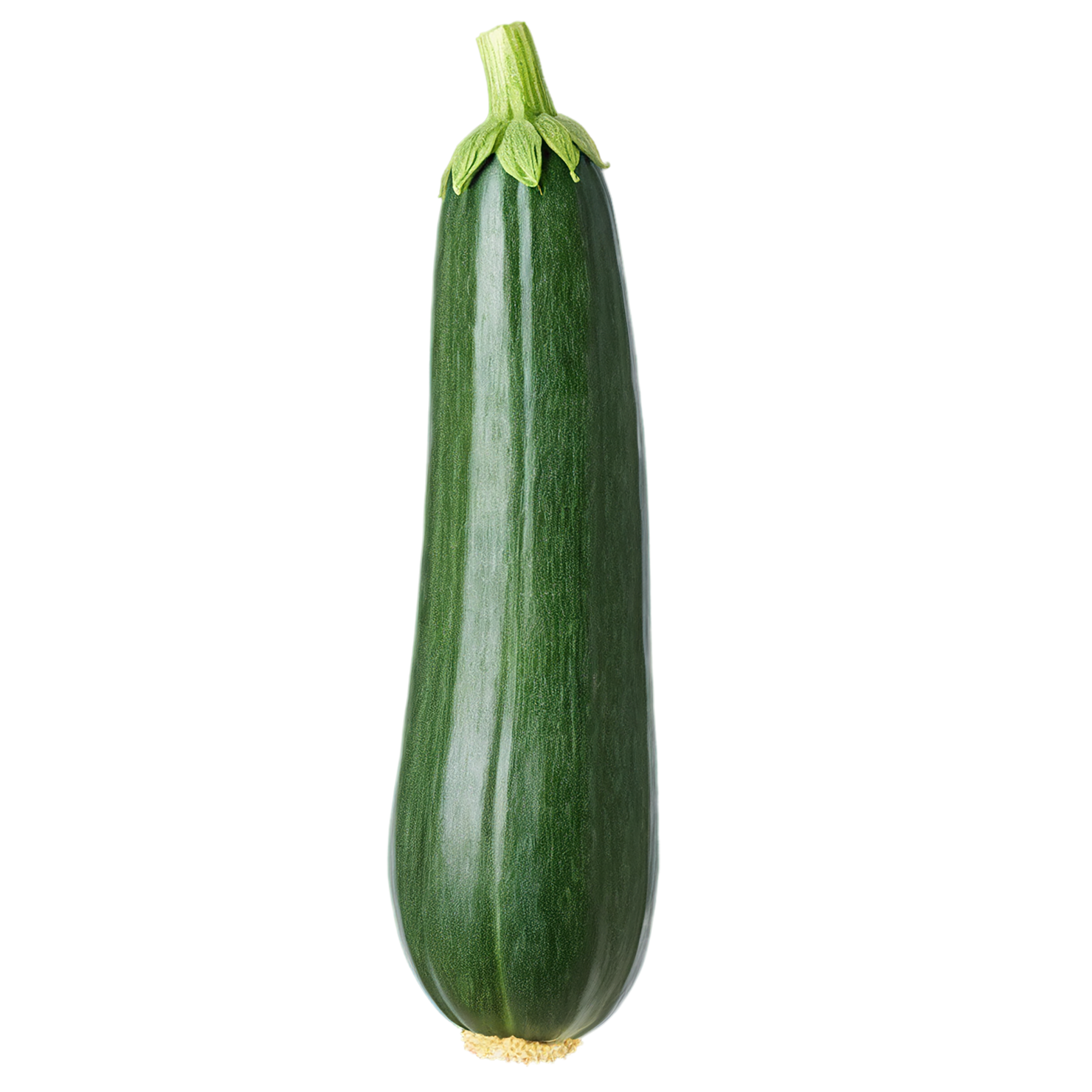 Zucchini vegetables isolated on transparent background #12259