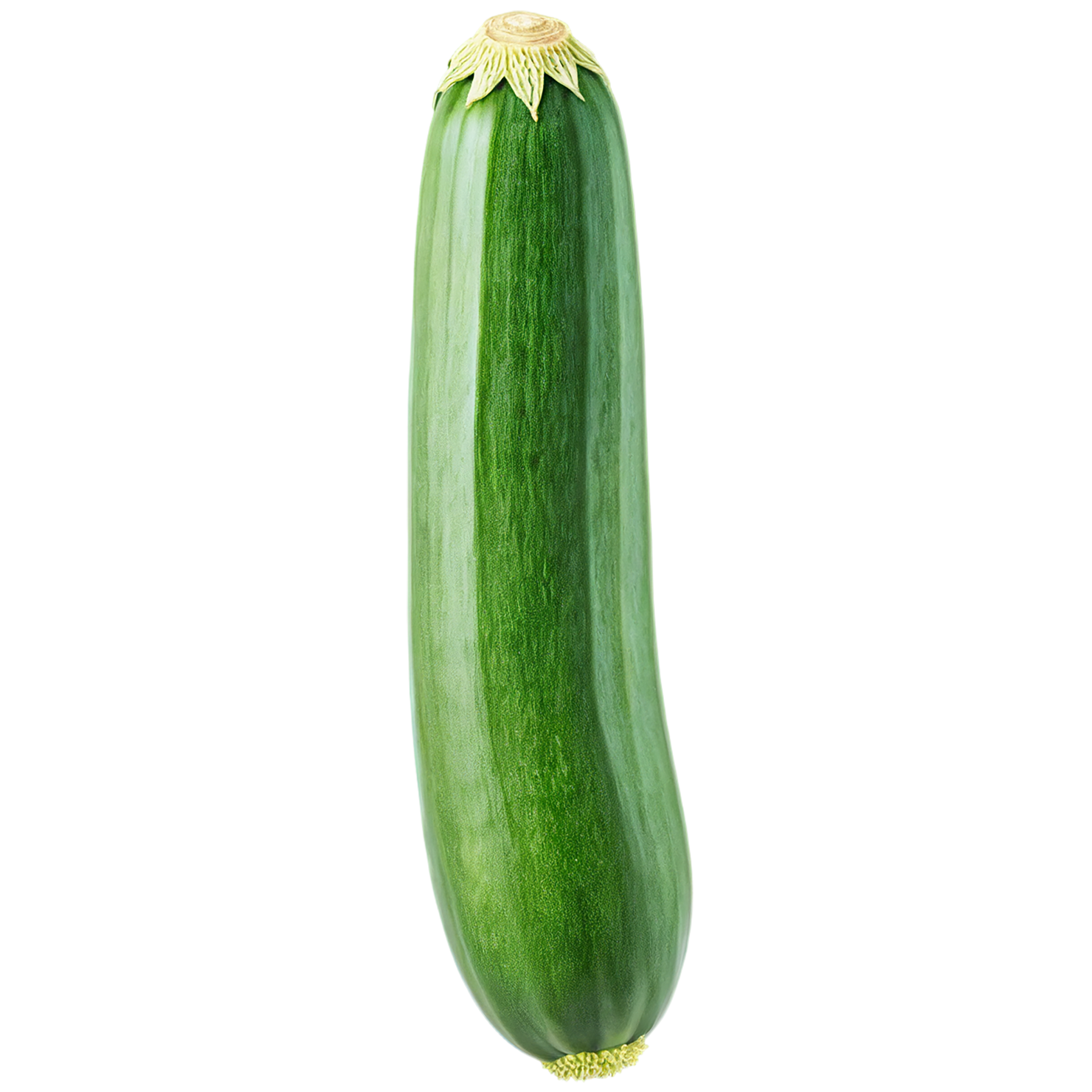 Zucchini vegetables isolated on transparent background #12260