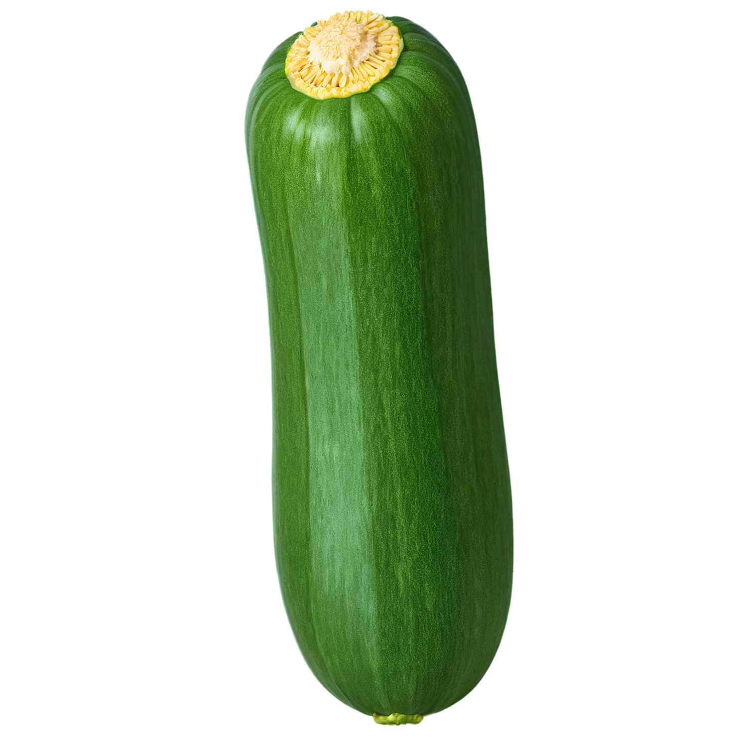 Zucchini vegetables isolated on transparent background #12262