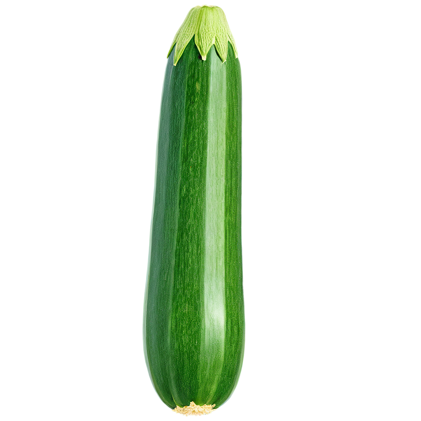 Zucchini vegetables isolated on transparent background #12268