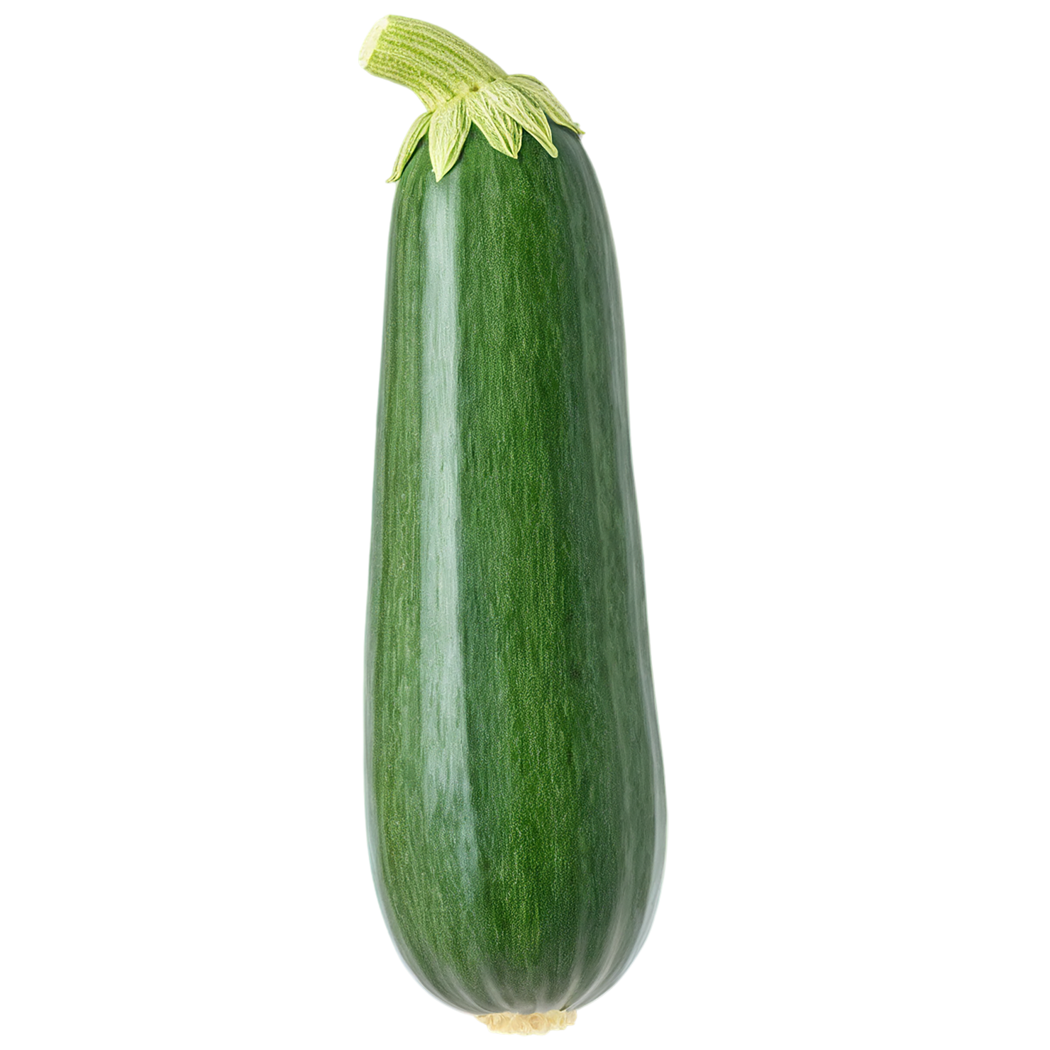 Zucchini vegetables isolated on transparent background #12272