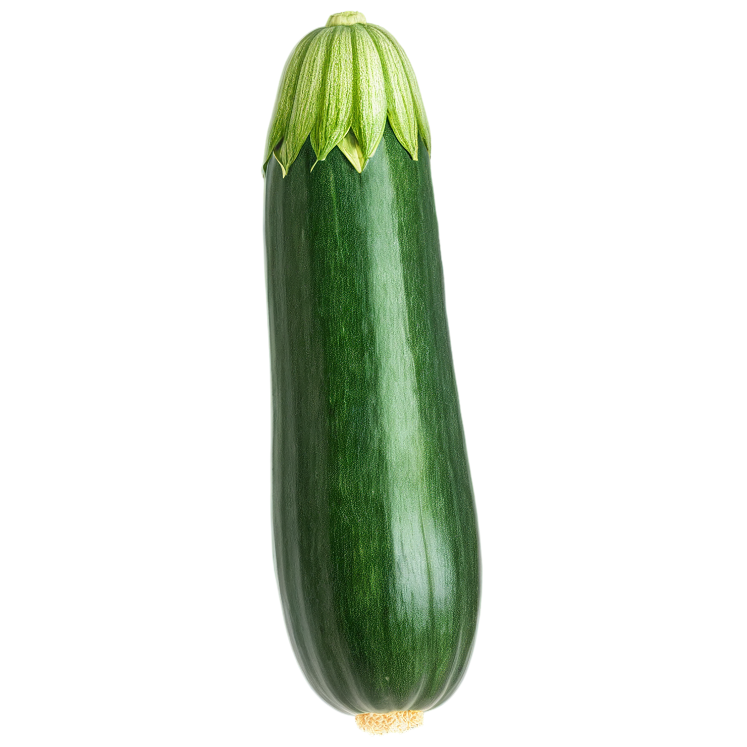 Zucchini vegetables isolated on transparent background #12275