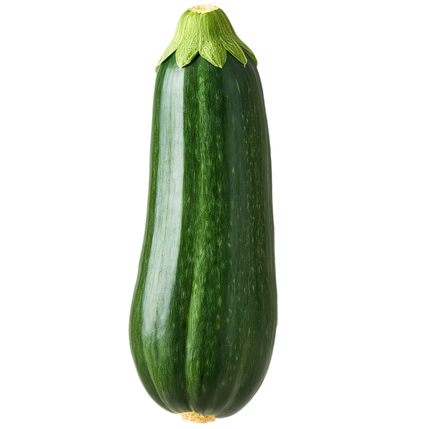 Zucchini vegetables isolated on transparent background #12277