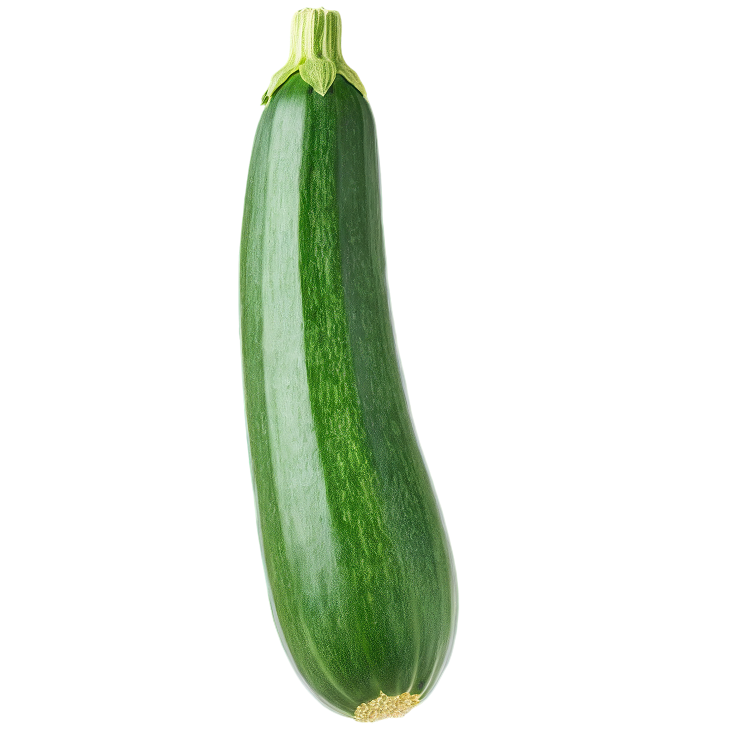 Zucchini vegetables isolated on transparent background #12280