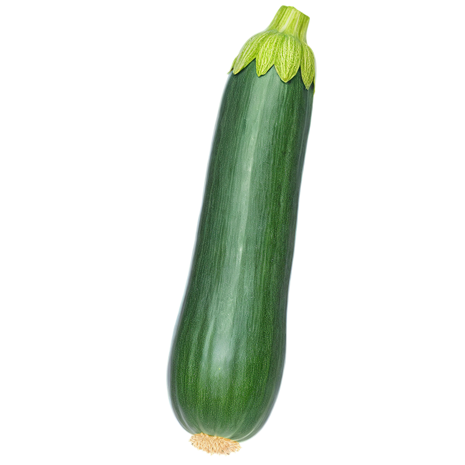Zucchini vegetables isolated on transparent background #12282