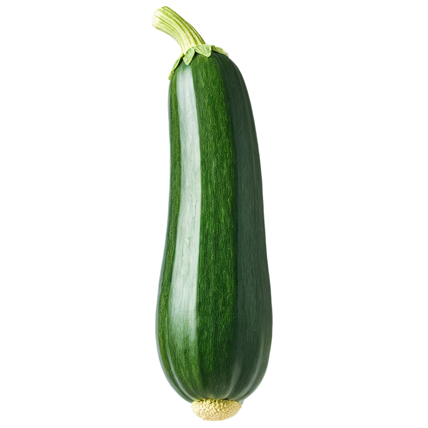 Zucchini vegetables isolated on transparent background #12283