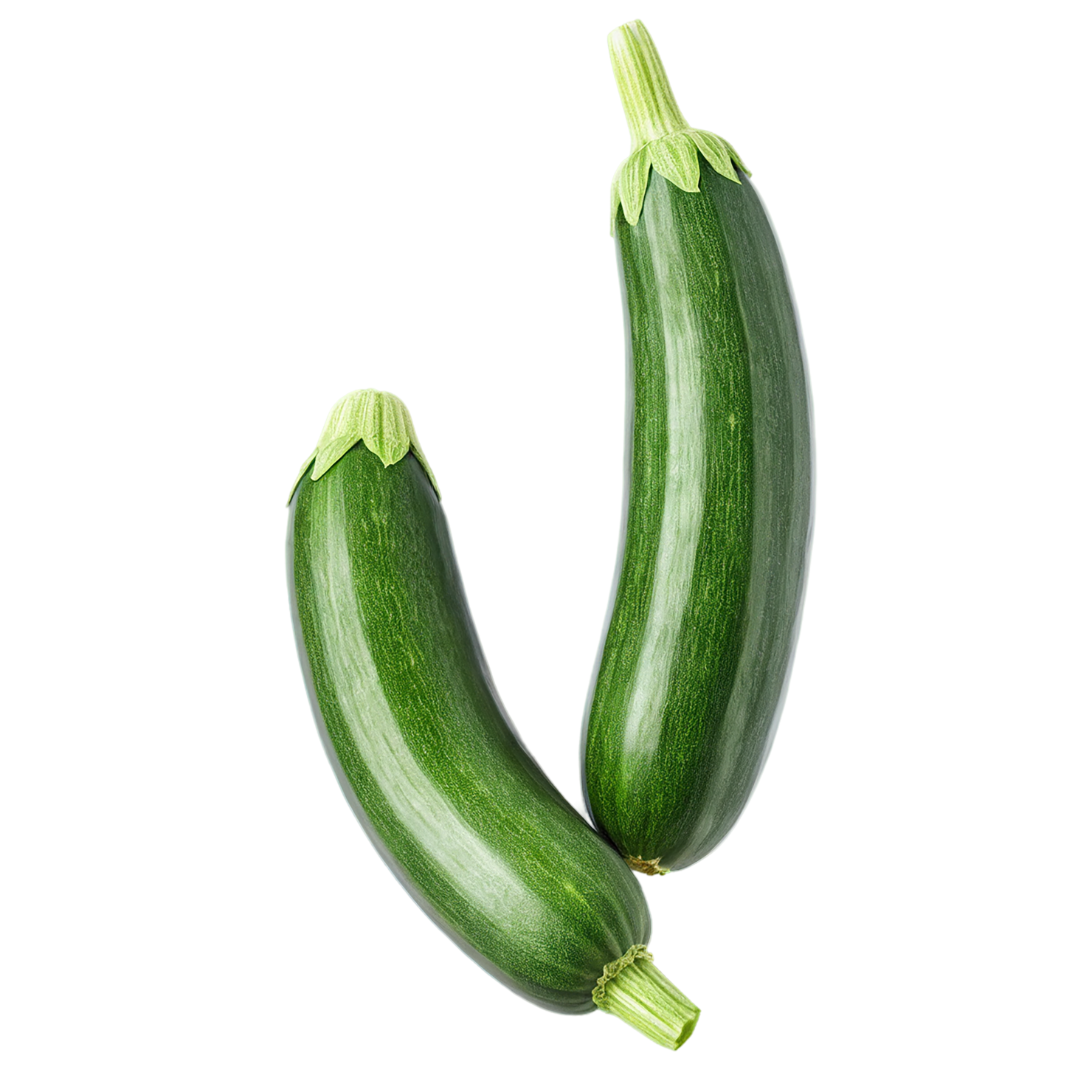 Zucchini vegetables isolated on transparent background #12288