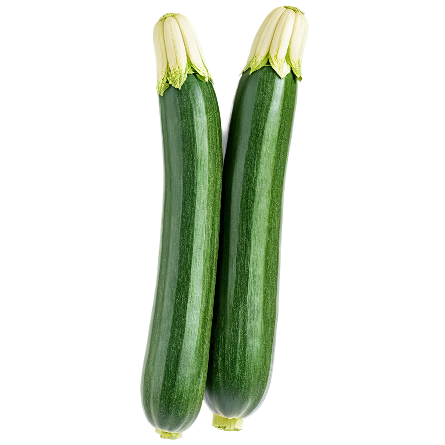Zucchini vegetables isolated on transparent background #12290