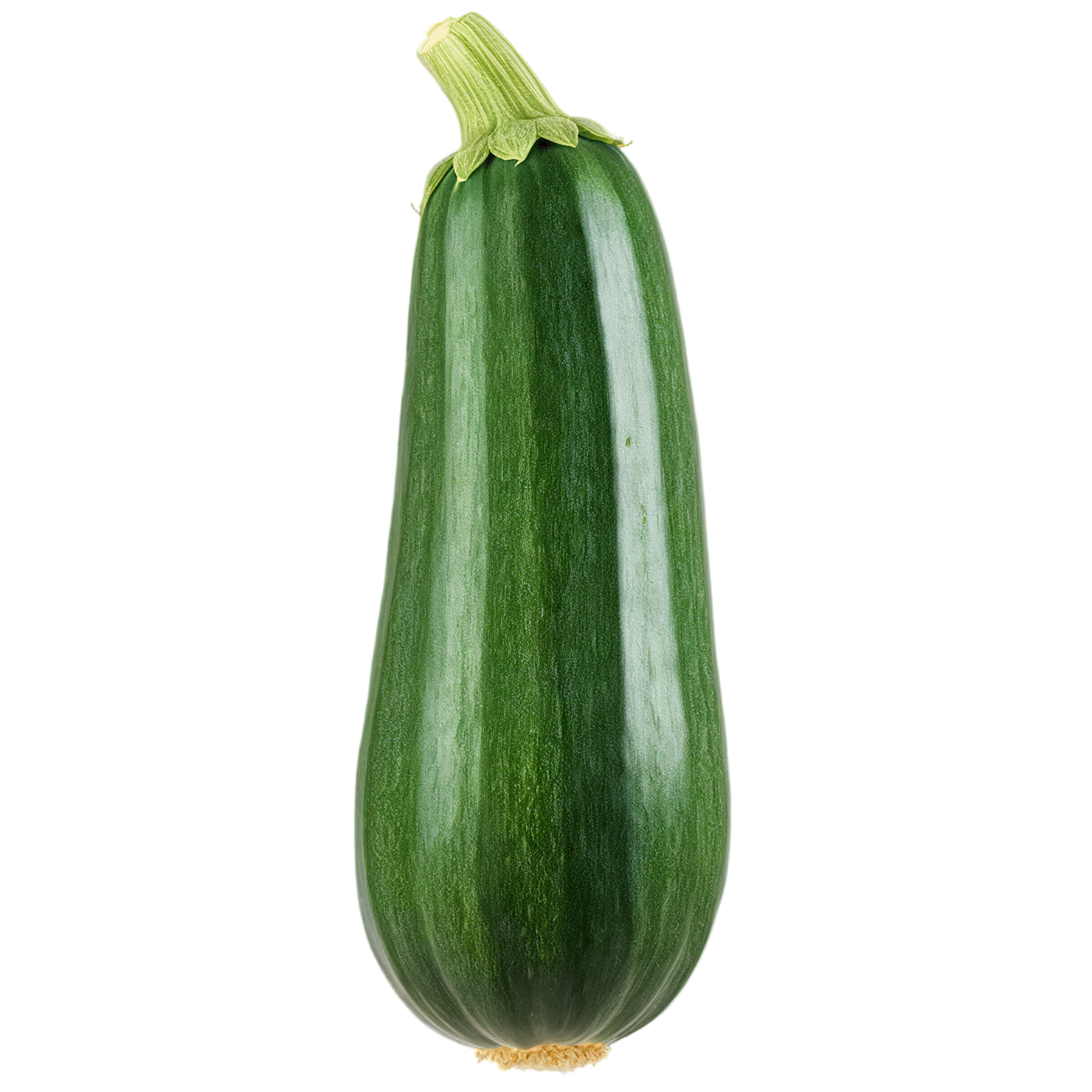 Zucchini vegetables isolated on transparent background #12291