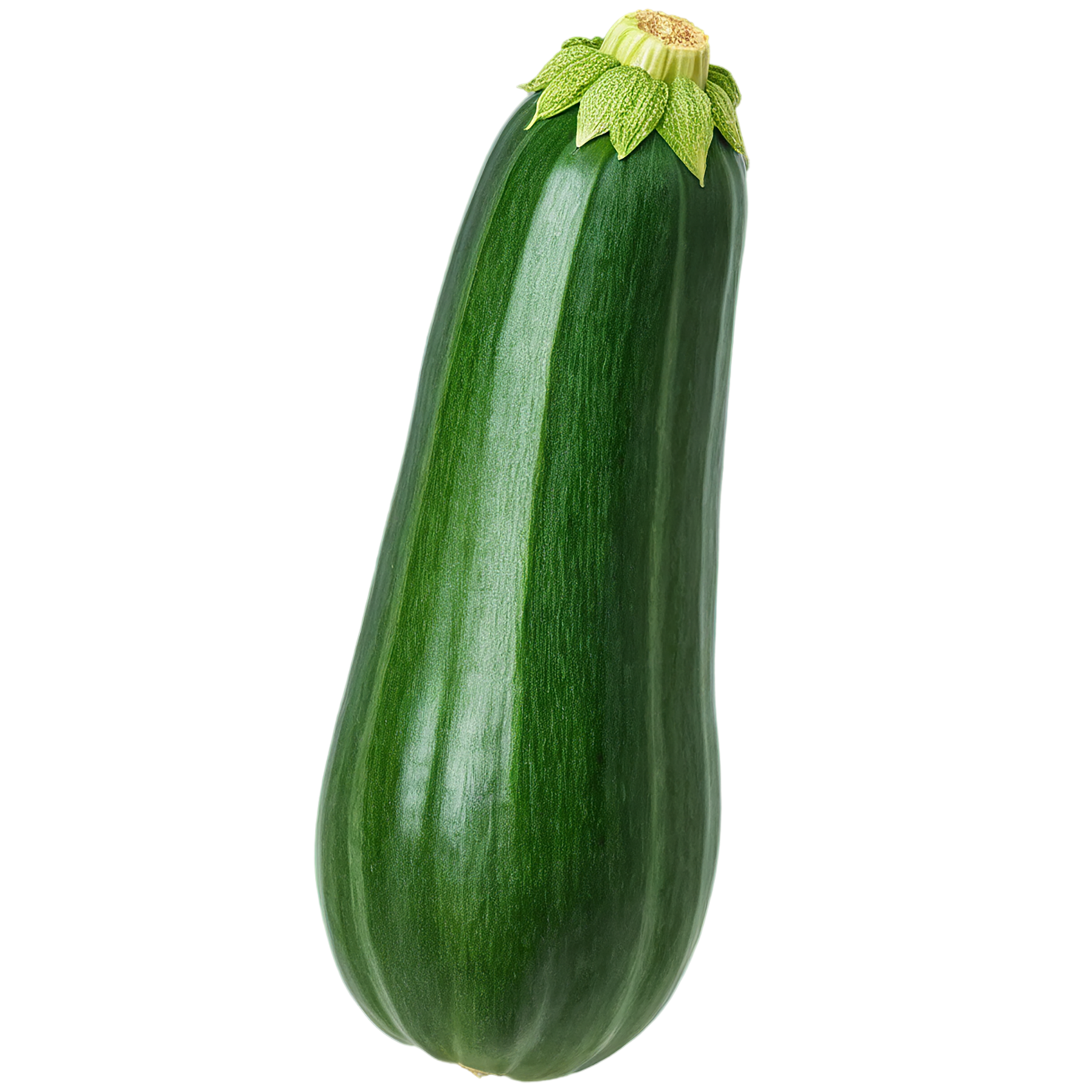 Zucchini vegetables isolated on transparent background #12295