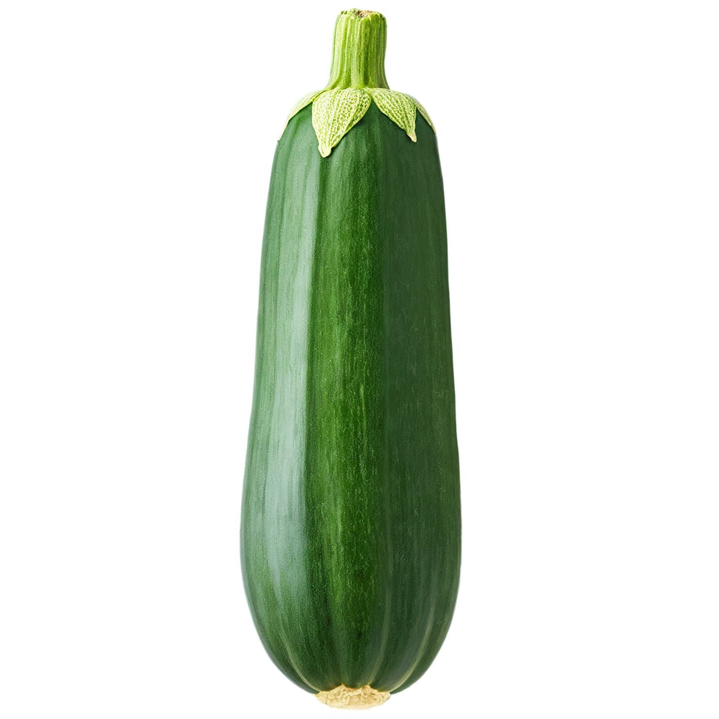 Zucchini vegetables isolated on transparent background #12296
