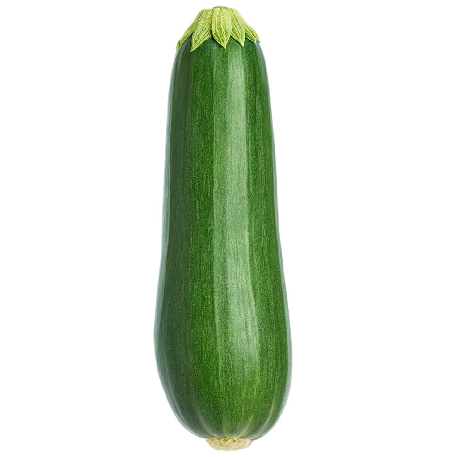 Zucchini vegetables isolated on transparent background #12299