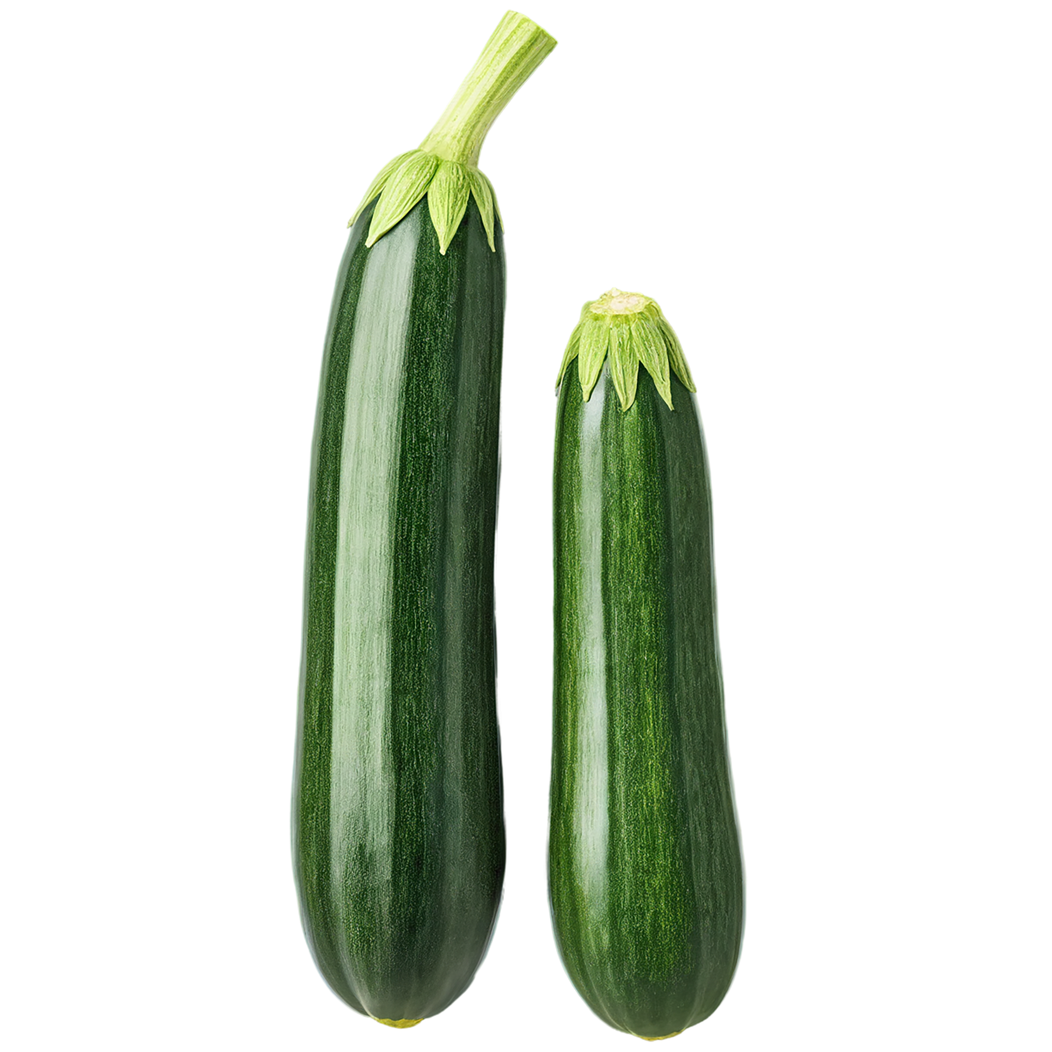 Zucchini vegetables isolated on transparent background #12305