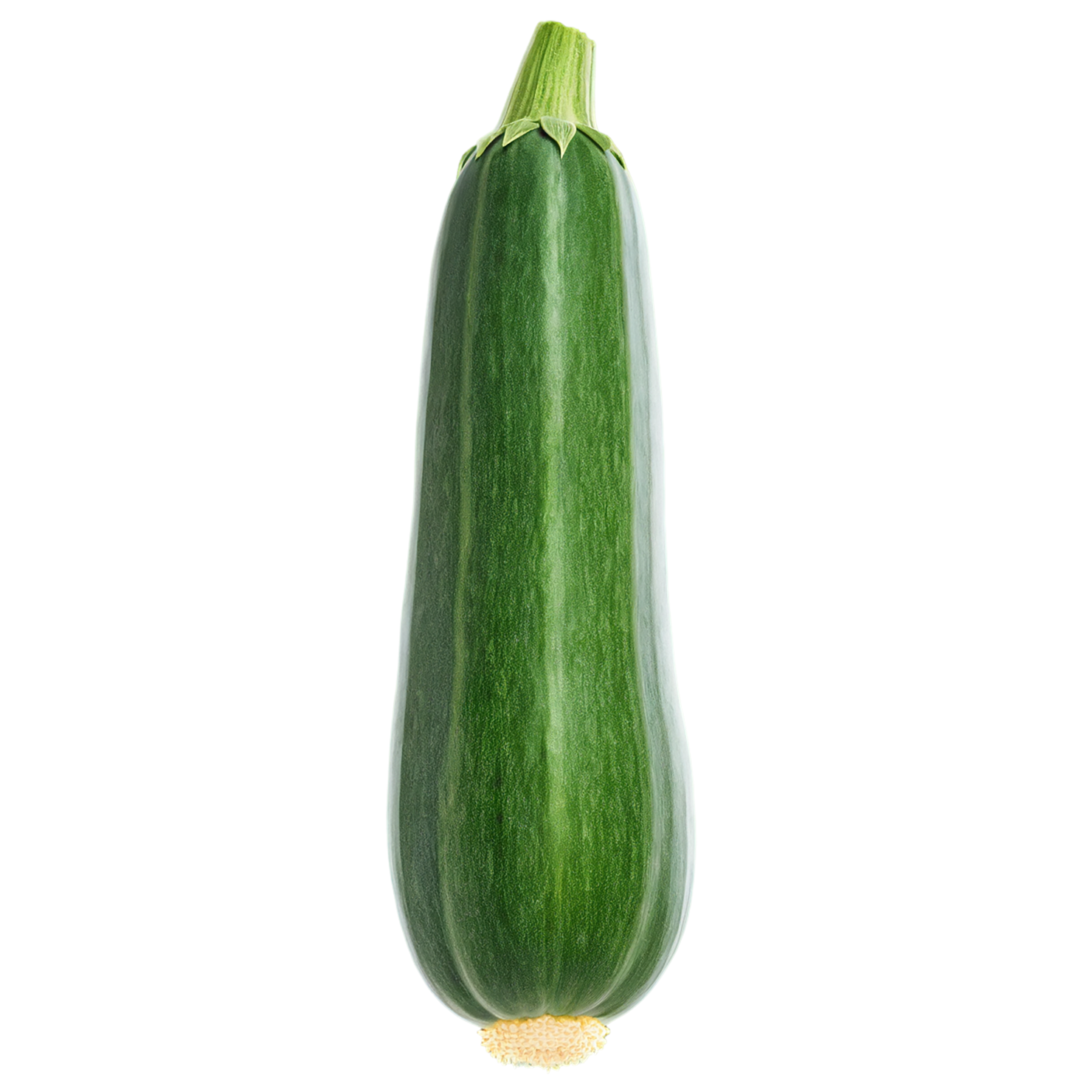 Zucchini vegetables isolated on transparent background #12307