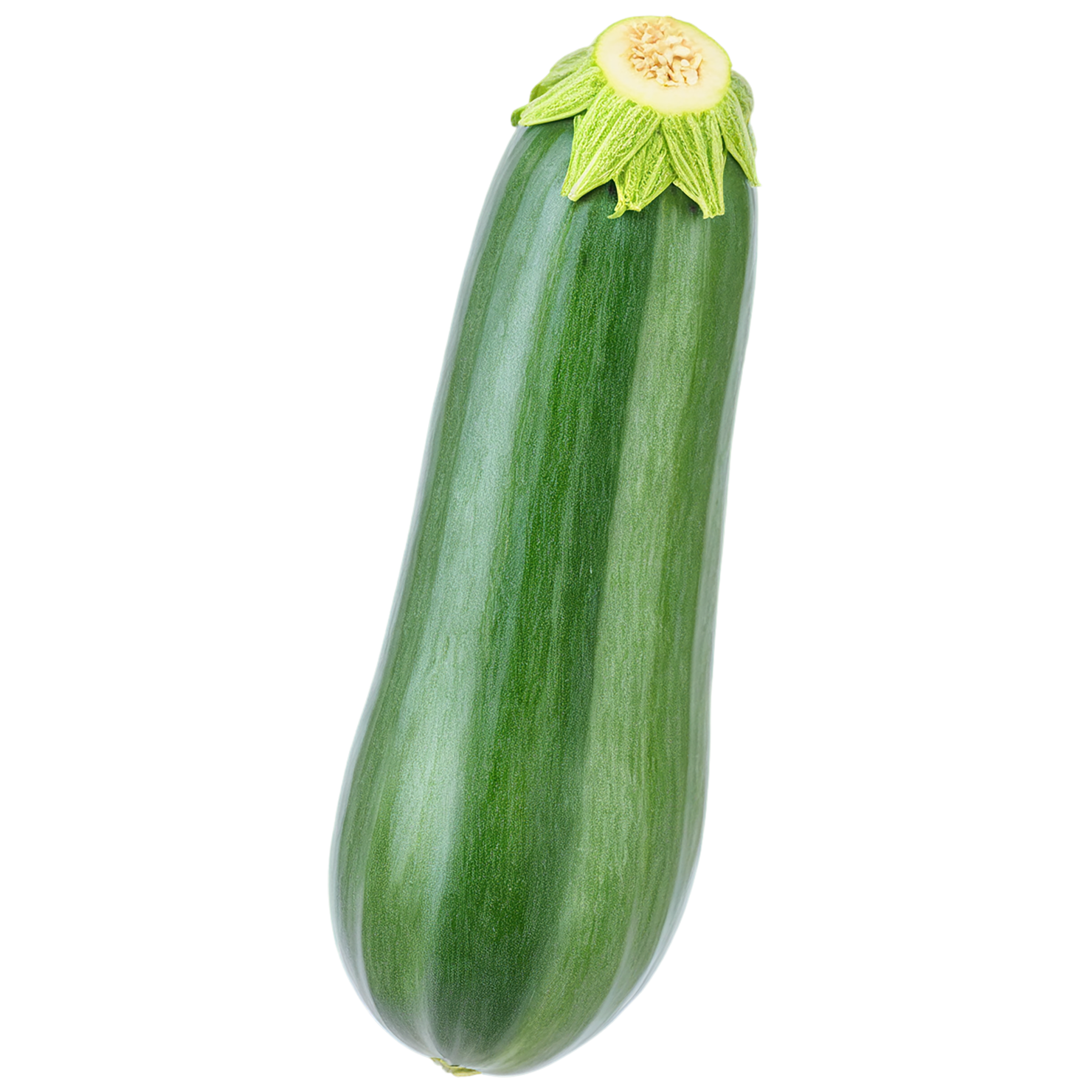 Zucchini vegetables isolated on transparent background #12313