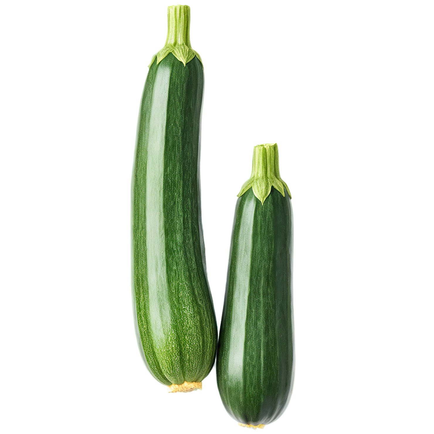 Zucchini vegetables isolated on transparent background #12314