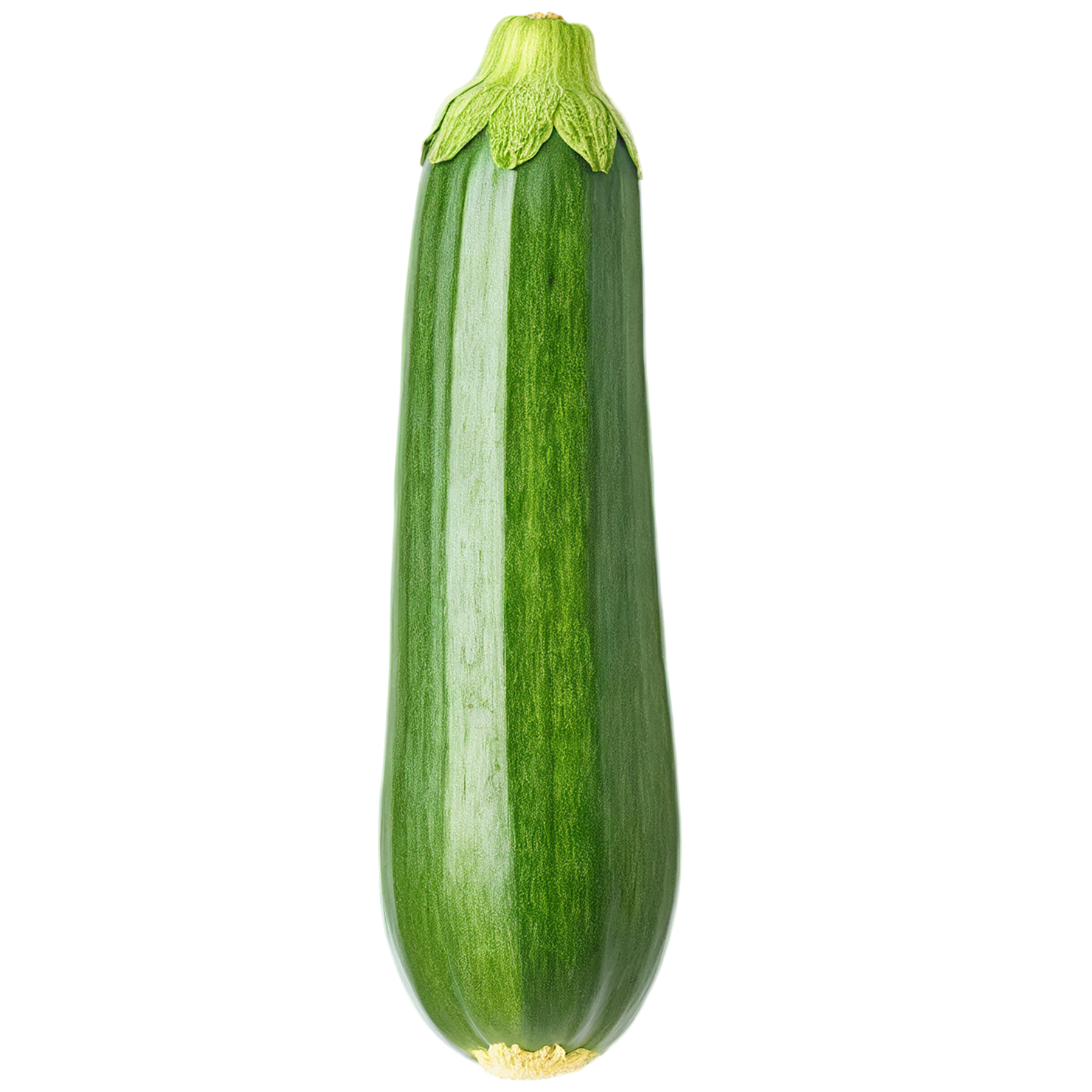 Zucchini vegetables isolated on transparent background #12317