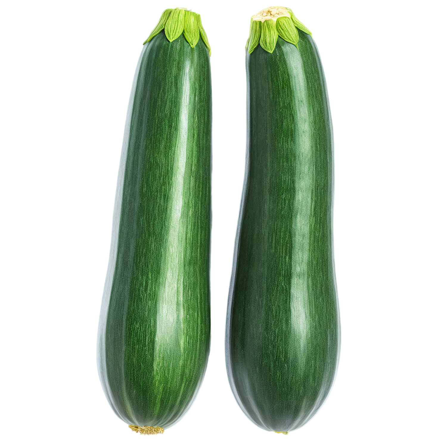 Zucchini vegetables isolated on transparent background #12318