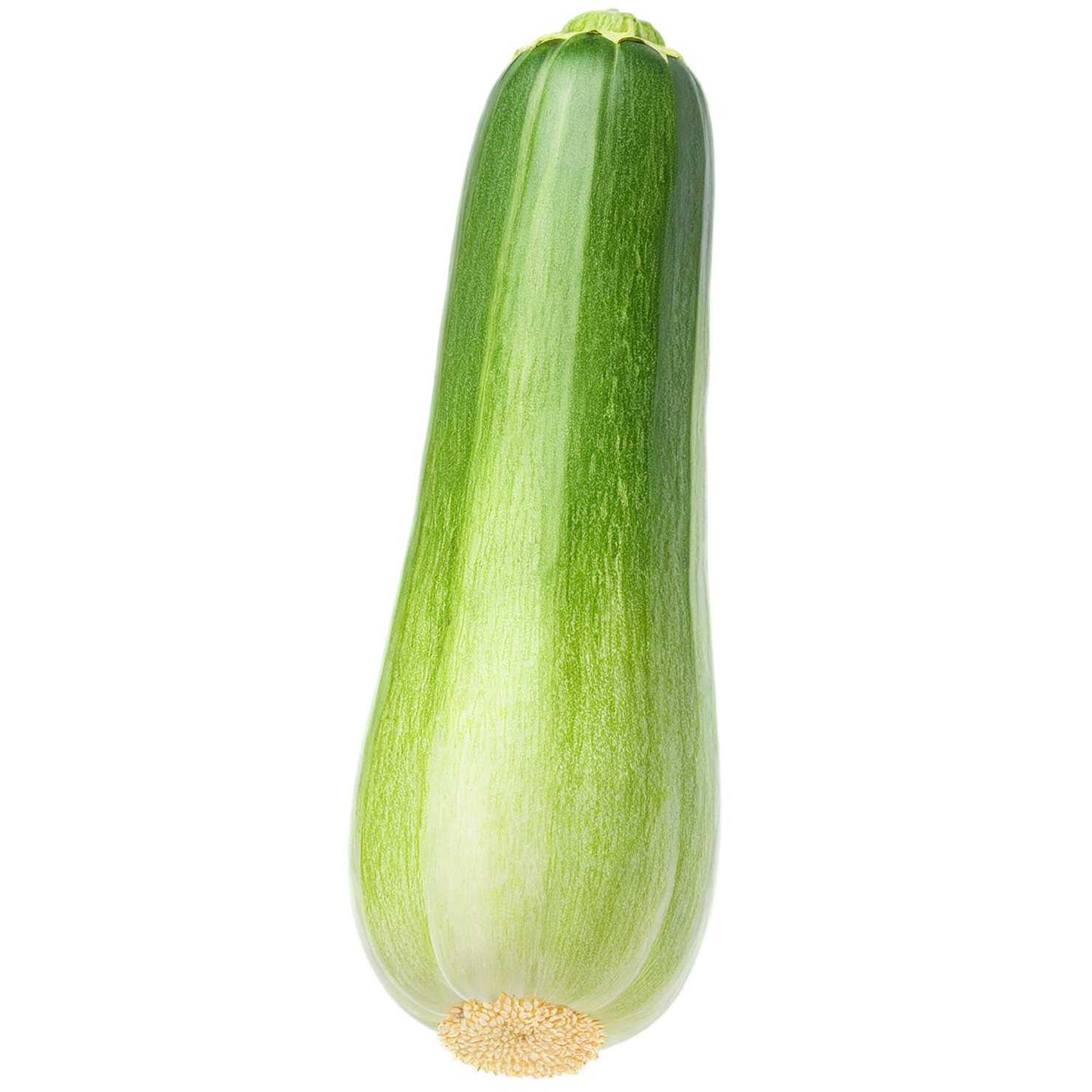 Zucchini vegetables isolated on transparent background #12320