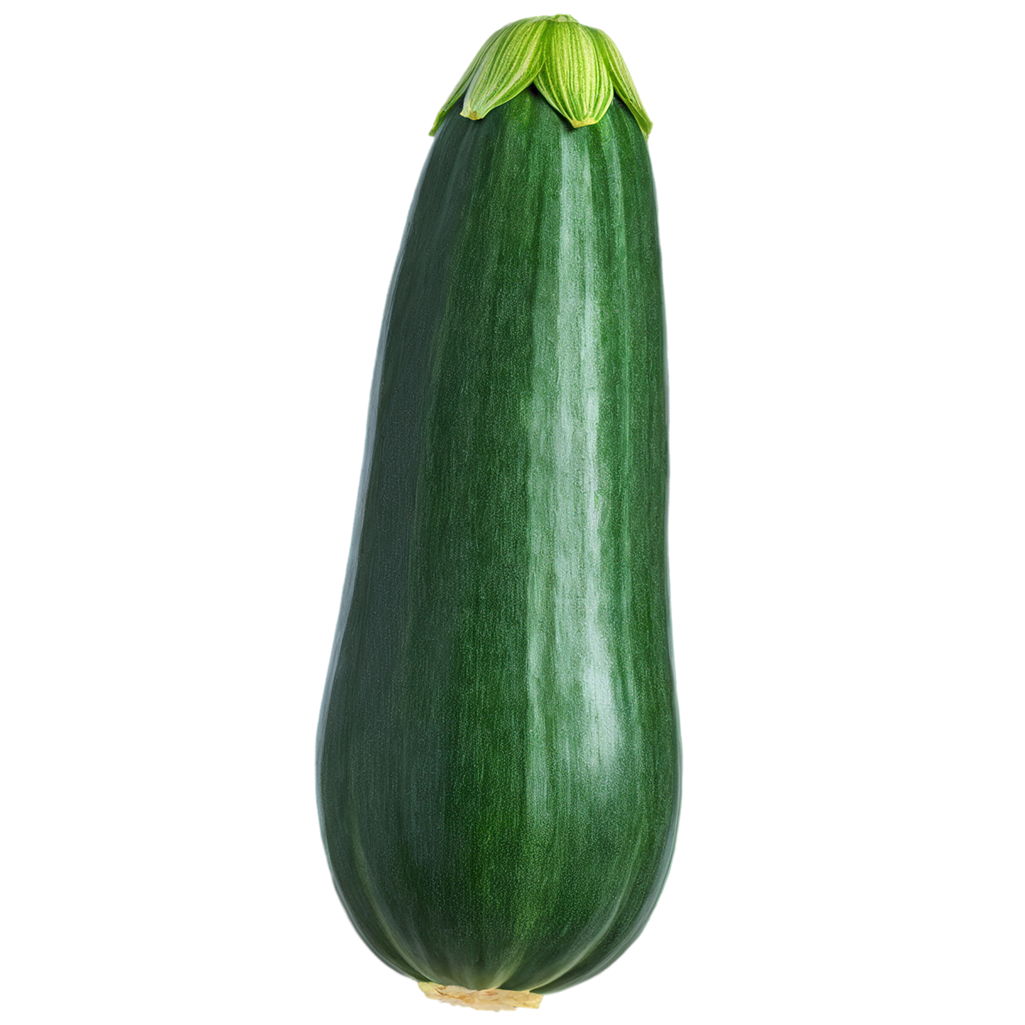 Zucchini vegetables isolated on transparent background #12322